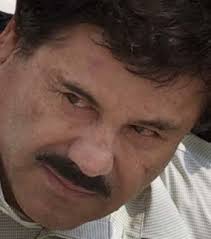 i2 Analyst's Notebook 8