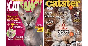 Formerly known as cat fancy. Who Killed I Cat Fancy I