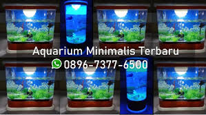 Inilah aquarium mini unik berbentuk rumah untuk ikan hias , harganya murah meriah gak bikin. Aquarium Mini Unik Wa Telp 0896 7377 6500