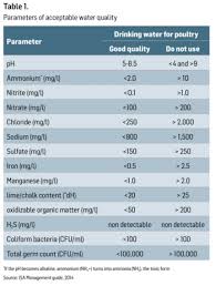 How To Improve Poultry Drinking Water Quality With