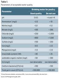 how to improve poultry drinking water quality with