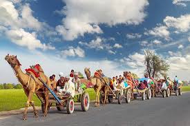 شاهد رامي أستاذ مساعد التخصص الدقيق: South Punjab Pakistan Picture Of Indus Holidays Lahore Tripadvisor
