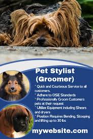 We are recruiting a dog bather for our modern spacious grooming salon located in torrance. Pet Stylist Hiring Poster Template Postermywall