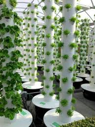 Easy Vertical Garden Pipes Design Ideas08 Hydroponic Farming Greenhouse Gardening Hydroponic Gardening