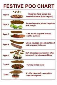 christmas bristol stool chart nursey humour poo chart