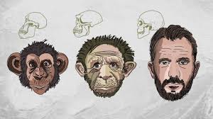 ההיסטוריה של המחר) ist ein sachbuch von yuval noah harari, professor für geschichte an der hebräischen universität jerusalem. Die Evolution Des Menschlichen Gehirns