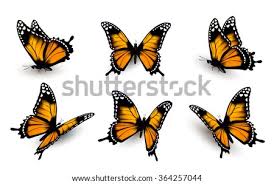 Check spelling or type a new query. Free Wedding Clip Art Orange Butterfly Clipart Stunning Free Transparent Png Clipart Images Free Download