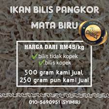 Maybe you would like to learn more about one of these? Offer 500 G Ikan Bilis Mata Biru Pangkor Original Shopee Malaysia