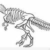 Saurischia (reptile hipped) and ornithischia (bird hipped). 1