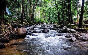 Check spelling or type a new query. Reopening Taman Eko Rimba Kanching And Chongkak Park Resort From Emily To You