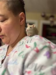 DIY Rat Toy Creation Using Cotton Fabric and Cardboard