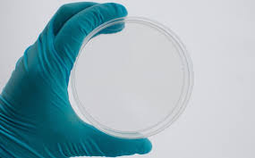 How Accurate Are Rapid Flu Tests Emergency Physicians Monthly