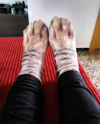 These unique animal feet socks have hd imagery printed on all sides of the sock that makes it look like you actually have. Confuse Your Cat With These Realistic Paw Socks