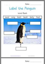 Polar bears are a species that are not native to club penguin island, but do appear in the arctic circle, polar bear island, and the polar bear temple. 43 Antarctica Ideas Antarctica Montessori Geography Polar Animals