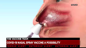 The spray, which uses a weakened form of the virus, is to be tested out on case. Dyla Hjpv5kzgm
