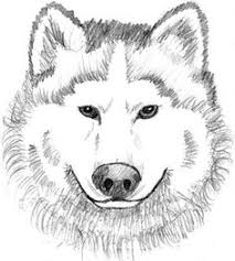 Wolf coloring pages easy cute baby wolf drawing. 25 Wolf Coloring Pages Ideas Coloring Pages Wolf Colors Wolf