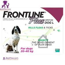 Discount pet meds offers discounts on all pet prescription medications ncluding popular flea and heartworm meds such as frontline, heartgard, sentinel, interceptor, advantix, revolution, program, advantage, comfortis, cosequin and others, searching for online stores with low competitive prices. Pin On Bestflea