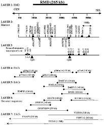 Our suzuki automotive repair manuals are split into five broad categories; Deletion Analysis Of Chromosome 13q14 3 And Characterisation Of An Alternative Splice Form Of Leu1 In B Cell Chronic Lymphocytic Leukemia Leukemia