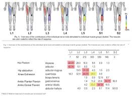 Lower Extremity Spine Neuro Exam Spine Orthobullets