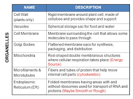 Maybe you would like to learn more about one of these? Cell Structure Function Ppt Download