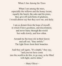 Heart And Soul What Will You Do On Twitter Stay Awhile There Is Light Preparing For Tomorrow S Zoom In Music Words And Pictures I Found Mary Oliver Again Https T Co 7zo5na7ie9 Twitter