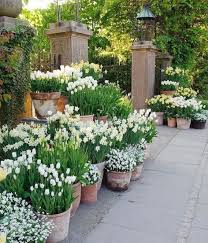 Even in an urban environment, a backyard can be a place to escape and unwind, like this example featuring a rock garden combined with lush greenery. 20 Beautiful Backyard Flowers Garden Ideas Gardenideaz Com
