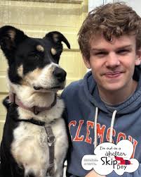 Brandywine Valley SPCA