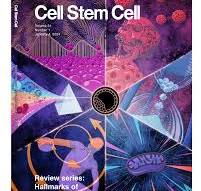Cell Press/Science Journals — Phillip Krzeminski