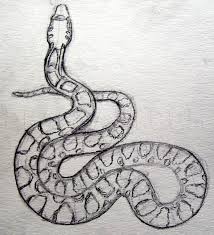 800x1281 amazing design snake coloring pages printable realistic for adults 1004x1024 highest snake coloring sheets realistic pages snakes science life How To Draw A Realistic Snake Draw Real Snake Coloring Page Trace Drawing