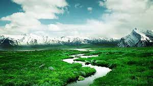 Nature Hd Wallpapers 1080p New Nature Wallpaper Nature Wallpaper Hd Nature Wallpapers