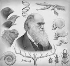 Charles Darwin Powerful Legacy For Science And Art By Techgnotic On Deviantart Charles Darwin Darwin Art