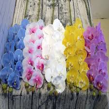 Try real touch flowers for the beauty inspired by nature and the benefits of hassle free faux flowers. China Wholesale Artificial Flowers Orchid Pvc Real Touch Orchid Artificial Latex Flowers Phalaenopsis Orchids China Wholesale Artificial Flowers And Real Touch Orchid Artificial Price