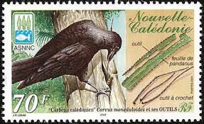 New Caledonian Crow Stamps Mainly Images Gallery Format Crow Bird Stamp Stamp