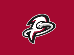 Comets P Logo Design Logo Design Sports Logo Design