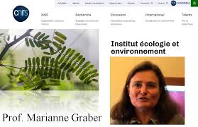 We did not find results for: Sciforum