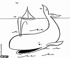 Baleia,baleia para colorir,desenho baleia,desenho baleia para colorir. Desenhos De Golfinhos E Outros Mamiferos Marinhos Para Colorir Jogos De Pintar E Imprimir