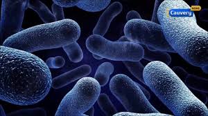 Cancer is not a single disease but a collection of diseases. Mouth Cancer Symptoms Diagnosis And Treatment In Tamil Youtube