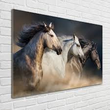 Glas Bild Wandbilder Druck Auf Glas 100x70 Deko Tiere Pferde Im Galopp Eur 79 95 Aloga