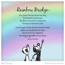 While I Was Away 8230 Rainbow Bridge Dog Miss My Dog Rainbow Bridge