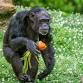 Zoo Volunteer Serve Day