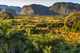 A rich and fertile area with tobacco and coffee plantations, beautiful rivers, natural springs and unique landscapes, vinales offers. 10 Best Day Trips From Havana Cuba Road Affair