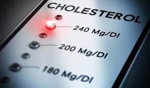 Le cholestérol est une substance grasse, un ingrédient essentiel du corps que l'organisme utilise pour diverses activités métaboliques. Le Cholesterol Et La Construction Musculaire Toutelanutrition