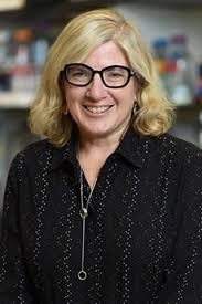 Newly Funded New York City Center Aims to Reduce Health Disparities in  Multiple Chronic Diseases