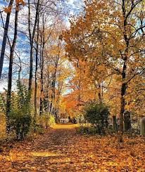Englischer Garten In Autumn Englischer Garten Instagram Garten