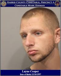 Mark Herman, Harris County Constable Precinct 4