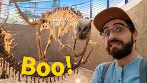 A paleontologist's discovery of China through fossils