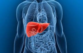 Tratamentul steatozei hepatice nonalcoolice cuprinde sfaturi tratament medicamentos (are importanta mai mica decat celelalte metode enumerate anterior). Primele Semne Ale Unui Ficat Cu Probleme Simptomele Articulare Ale Bolii Hepatice