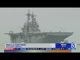 Image result for Tan 2022 Fleet