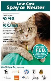 Humane Society Of Skagit Valley World Spay Day Is Approaching Spay Humane Society Island County