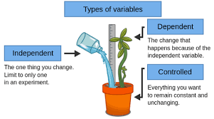 Revised on march 2, 2021. Experimental Variables Labster Theory